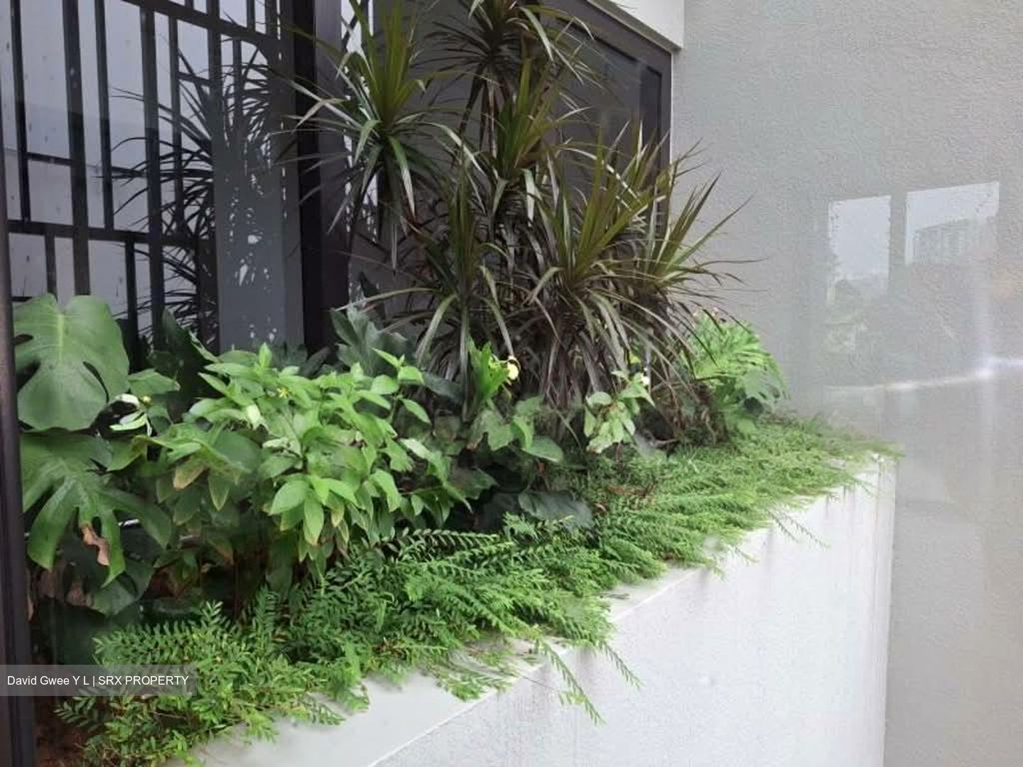 Henry Park (D10), Terrace #535350301